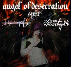 Thanatopsis (CR) : Angel of Desecration